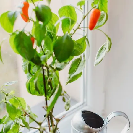 Center By Citybeat Lägenhet *